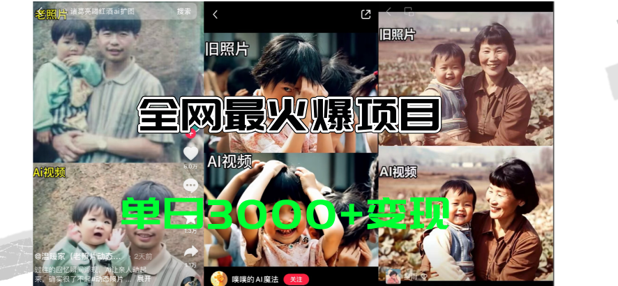 （11546期）全网爆火的AI让老照片动起来教程，蹭热点日赚3000+，内含免费工具一键…-网创资源总站