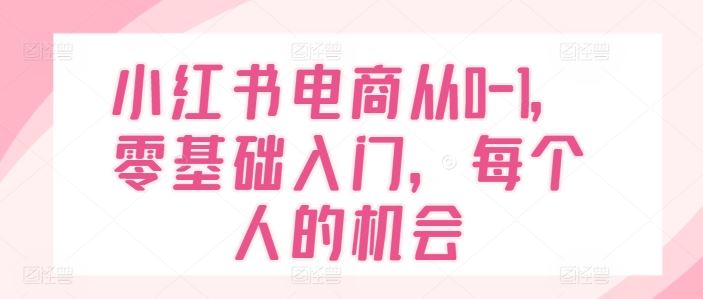 小红书电商从0-1，零基础入门，每个人的机会-网创资源总站
