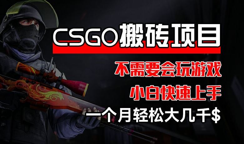 CSGO 装备搬砖项目，操作简单，不需要会玩游戏，小白也能快速上手，一个月轻松大几千【揭秘】-网创资源总站
