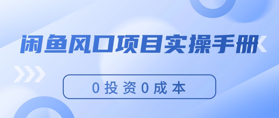 （11923期）闲鱼风口项目实操手册，0投资0成本，让你做到，月入过万，新手可做-网创资源总站