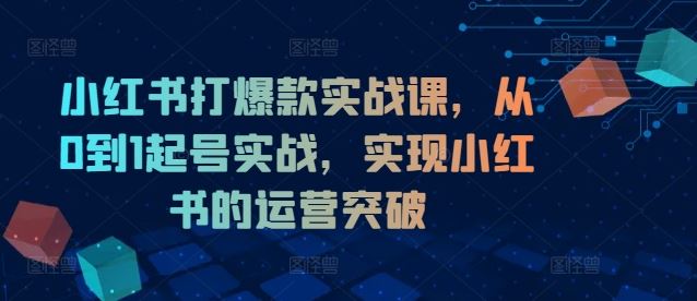 小红书打爆款实战课，从0到1起号实战，实现小红书的运营突破-网创资源总站