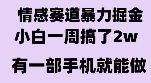情感暴力掘金项目，新人操作一周挣了2W，长期稳定小白可做【揭秘】-网创资源总站