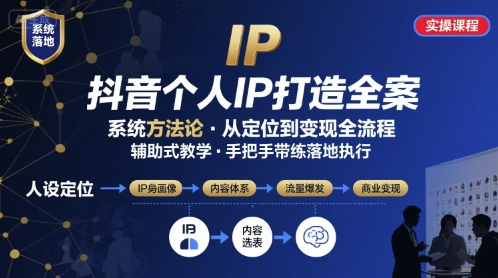 抖音个人IP系统落地实操大课，实操课程，辅助落地-网创资源总站