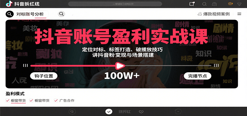 抖音账号盈利实战课，定位对标、标签打造、破播放技巧，讲涨粉变现与场景搭建-网创资源总站