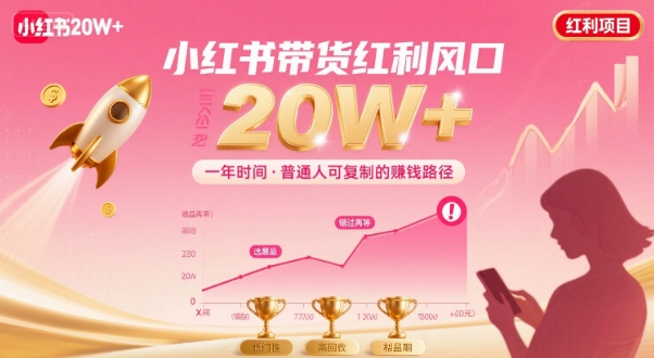一年时间靠小红书带货项目年入20w+，最不能错的大红利项目-网创资源总站