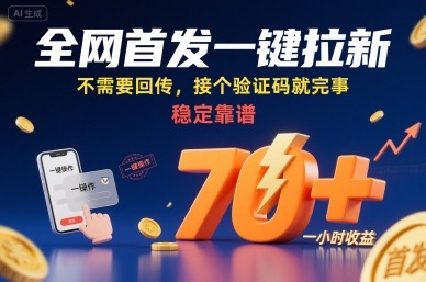 全网首发一键拉新项目，不需要回传，接个验证码就完事，稳定靠谱，一小时收益70+【揭秘】-网创资源总站