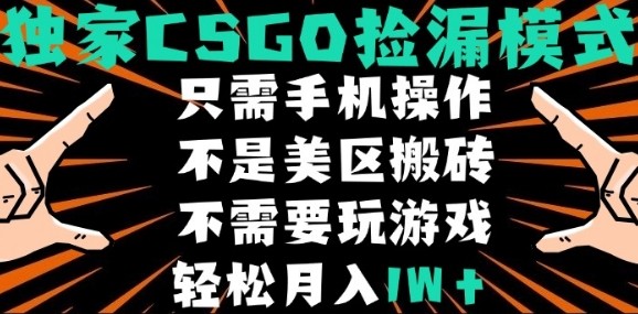 CSGO自动捡漏项目，最新独家玩法，不是美区搬砖，不需要了解和玩游戏，新手小白轻松月入1W+【揭秘】-网创资源总站