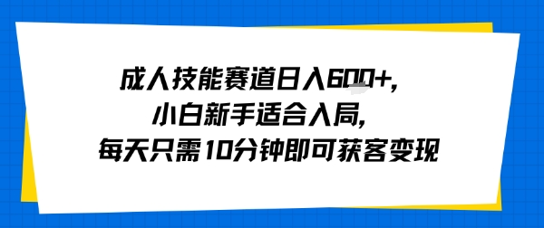 成人技能赛道日入多张，小白新手适合入局，每天只需10分钟即可获客变现-网创资源总站
