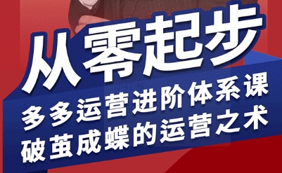 拼多多运营进阶系统课，从零起步，多多运营进阶体系课，破茧成蝶的运营之术-网创资源总站