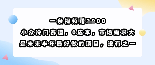 一条视频挣1k，小众冷门赛道，0成本，市场需求大，是未来半年最好做的项目，没有之一-网创资源总站