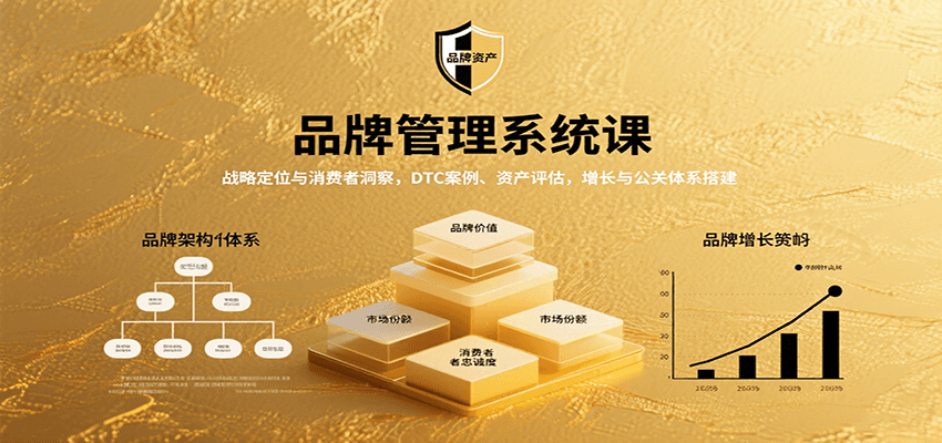品牌管理系统课：战略定位与消费者洞察，DTC案例、资产评估，增长与公关体系搭建-网创资源总站