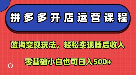 拼多多开店运营课程：蓝海变现玩法，轻松实现睡后收入，零基础小白也可日入5张-网创资源总站
