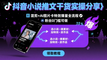抖音小说推文干货实操分享，混剪+AI图片卡特效爆量全流程，0粉丝0门槛可做-网创资源总站