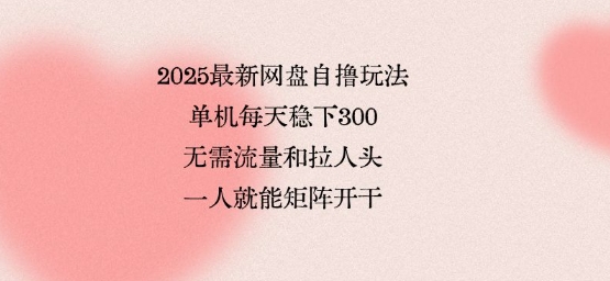 2025最新网盘自撸玩法，单机每天稳下3张，无需流量和拉人头，一个人就可轻松矩阵，全网独一份【揭秘】-网创资源总站