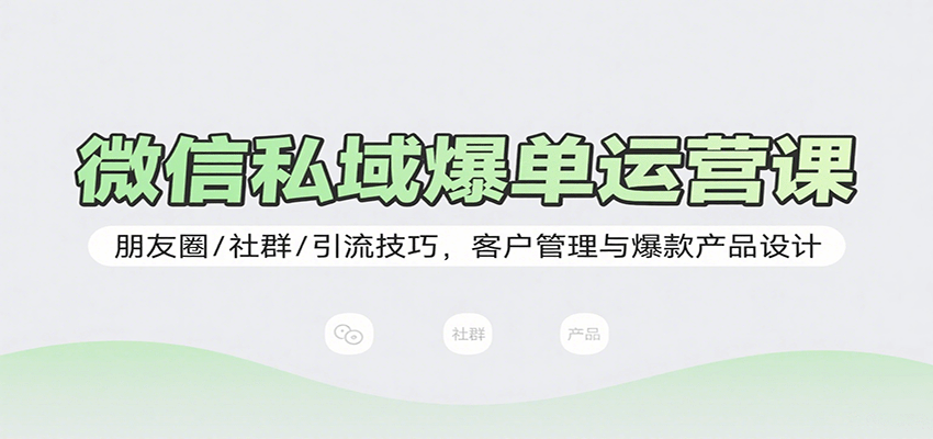 微信私域爆单运营课：朋友圈/社群/引流技巧，客户管理与爆款产品设计-网创资源总站