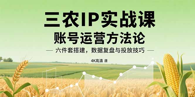 三农IP实战课：账号运营方法论，六件套搭建，数据复盘与投放技巧-网创资源总站