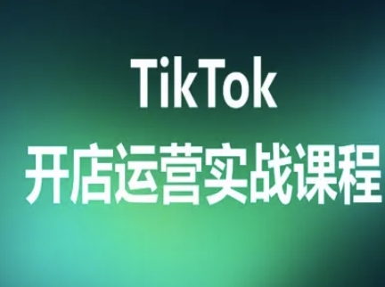 TikTok开店运营实战课程，TK跨境电商实操全流程-网创资源总站