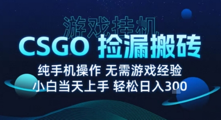8月最新游戏搬砖，CSGO纯挂G，不需要玩游戏，实现真挂G，月入1W+【揭秘】-网创资源总站