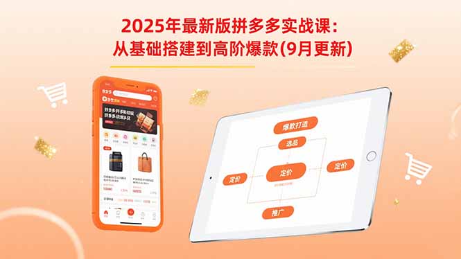 2025年最新版拼多多实战课：从基础搭建到高阶爆款(9月更新-网创资源总站