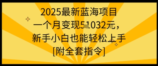 2025最新蓝海项目一个月变现1w+新手小白也能轻松上手【附全套指令】-网创资源总站