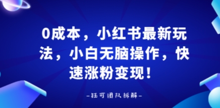 0成本，小红书最新玩法，小白无脑操作，快速涨粉变现-网创资源总站