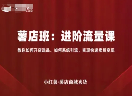 小红薯薯店商城卖货，进阶流量课，教你如何开店选品、如何系统引流，实现快速卖货变现-网创资源总站