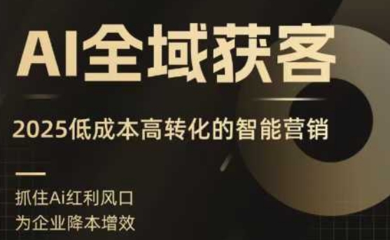 AI全域获客实训营，2025低成本高转化的智能营销，精准找客，高效营销-网创资源总站