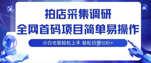 拍店采集调研，全网首码项目，简单易操作， 小白也能轻松上手，多账号操作，轻松日入5张【揭秘】-网创资源总站