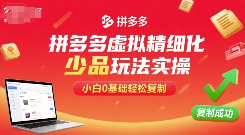 拼多多虚拟精细化少品玩法实操，小白0基础轻松复制-网创资源总站