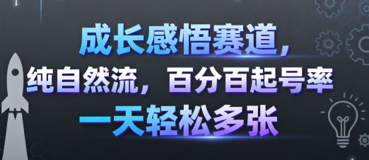 成长感悟赛道，纯自然流，百分百起号率 一天轻松多张-网创资源总站
