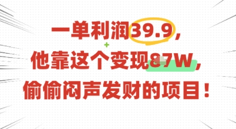 一单利润39.9，有人靠这个变现几十个，偷偷闷声发财的项目-网创资源总站