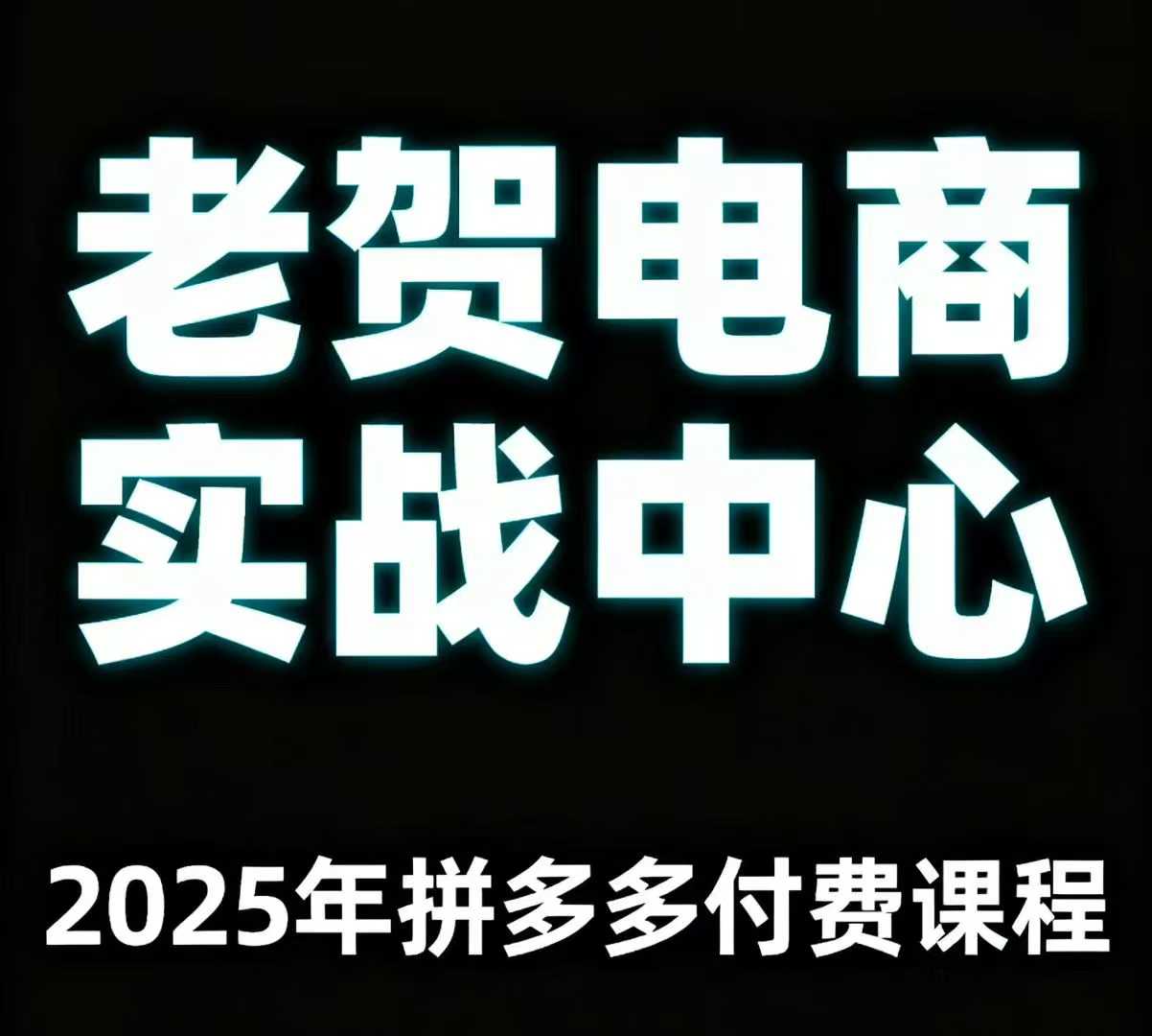 老贺电商2025年拼多多付费课程，用通俗易懂的方法告诉你多多怎么玩-网创资源总站