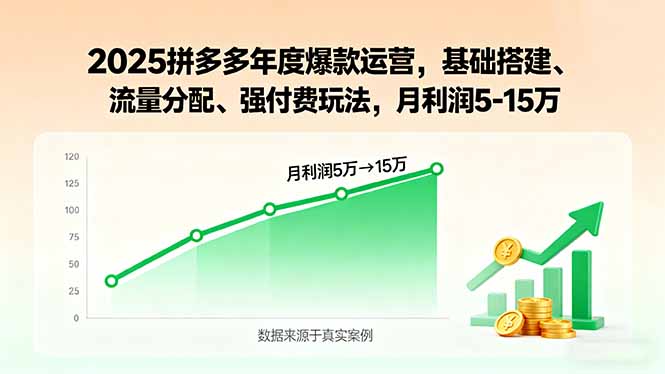 2025拼多多年度爆款运营，基础搭建、流量分配、强付费玩法，月利润5-15万-网创资源总站