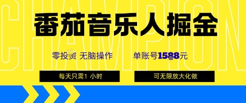 番茄音乐人掘金，单账号最高可撸1k+，可无限矩阵去做，零投入-网创资源总站