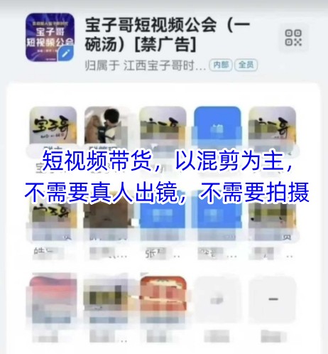 宝子哥头部团队短视频带货，以混剪为主，不需要真人出镜，不需要拍摄【更新9月】-网创资源总站