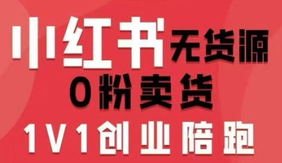 小红书无货源0粉电商课，开店准备、选品策略、笔记撰写、视频剪辑、数据分析、账号打造、资料文档-网创资源总站