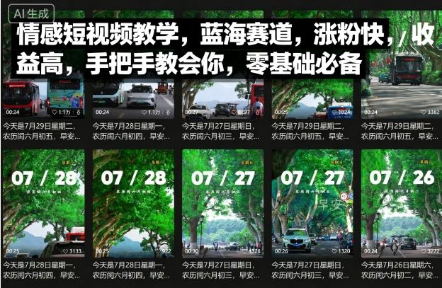 情感短视频教学，蓝海赛道，涨粉快，收益高，手把手教会你，零基础必备-网创资源总站