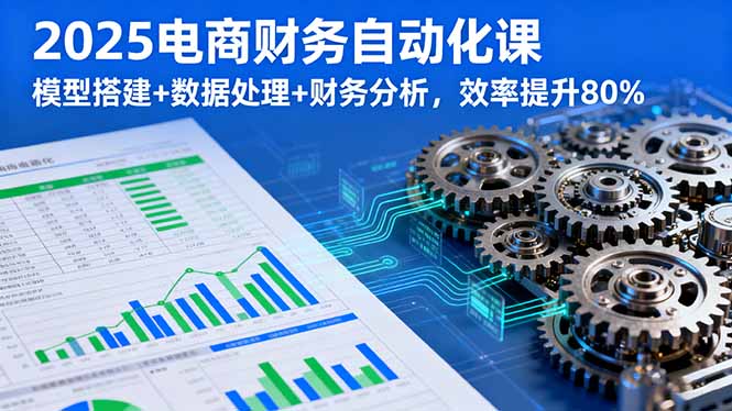 2025电商财务自动化课，模型搭建+数据处理+财务分析，效率提升80%-网创资源总站