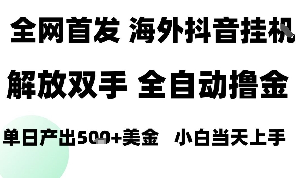海外抖音无人直播，单日产出1.5k+，长期稳定，新手可玩，无脑操作【揭秘】-网创资源总站