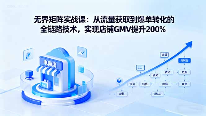 无界矩阵实战课：从流量获取到爆单转化的全链路技术，实现店铺GMV提升200%-网创资源总站