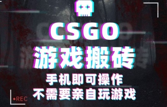 CSGO游戏挂G捡漏，单日扫货5张+，年底小高峰上车可吃肉，手机即可操作，兼职副业创业网创【揭秘】-网创资源总站