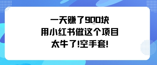 一天挣了9张用小红书做这个项目太牛了，空手套-网创资源总站