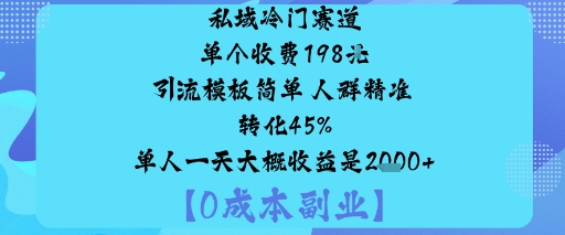 私域冷门赛道:单个收费198米引流模板简单人群精准转化45%单人一天大概收益是1k+-网创资源总站