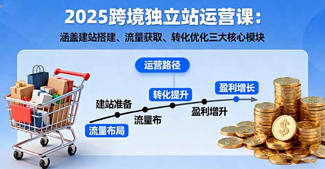 2025跨境独立站运营课：涵盖建站搭建、流量获取、转化优化三大核心模块-网创资源总站