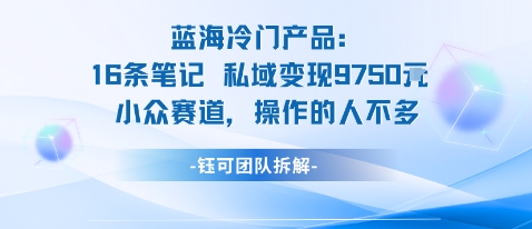 蓝海项目：16条笔记私域变现9750米小众赛道操作的人不多-网创资源总站