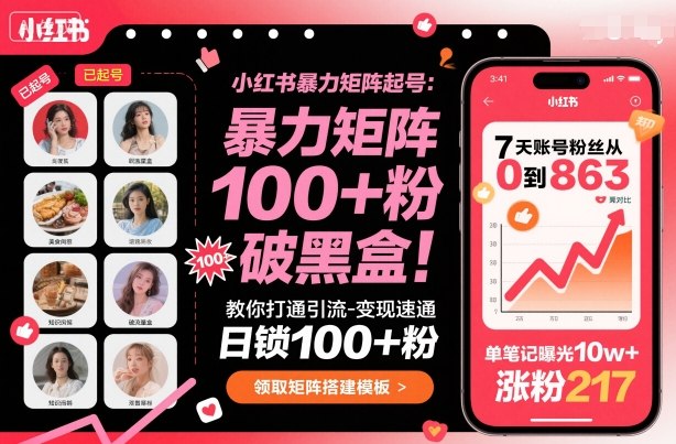 小红书暴力矩阵起号，教你打通引流-变现速通，日锁100+粉，破流量黑盒-网创资源总站