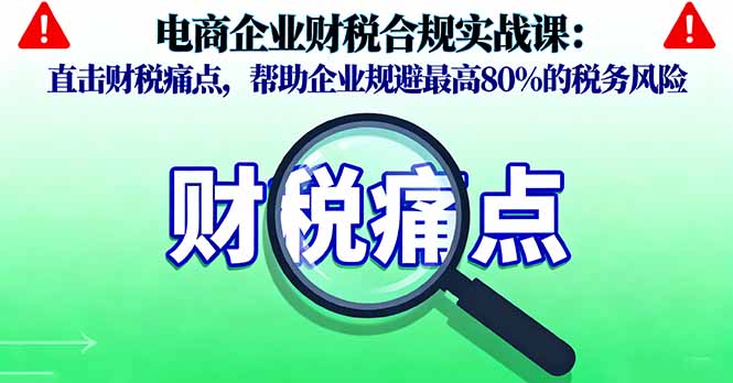 电商企业财税合规实战课，直击财税痛点，帮助企业规避最高80%的税务风险-网创资源总站