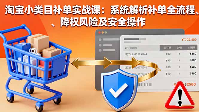 淘宝小类目补单实战课：系统解析补单全流程、降权风险及安全操作-网创资源总站