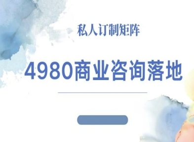 4980商业咨询师落地课程-ip运营高客单教程-网创资源总站