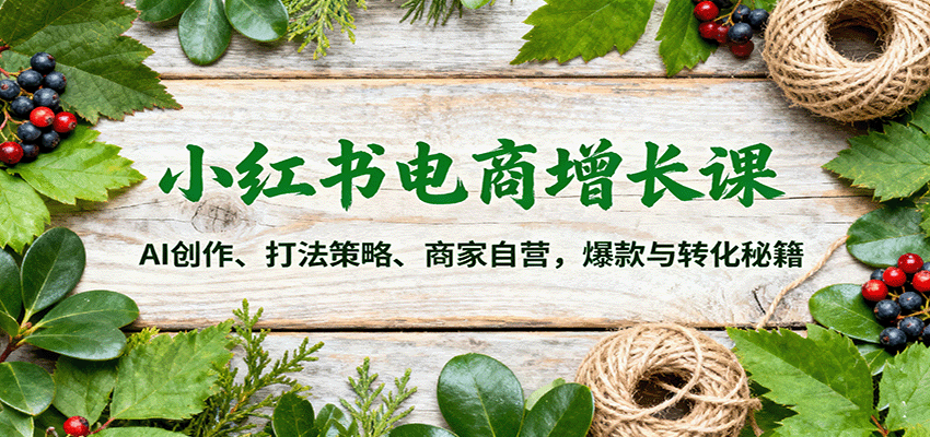 小红书电商增长课：AI创作、打法策略、商家自营，爆款与转化秘籍-网创资源总站